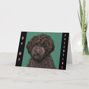 Cartão Lagotti Romagnolo