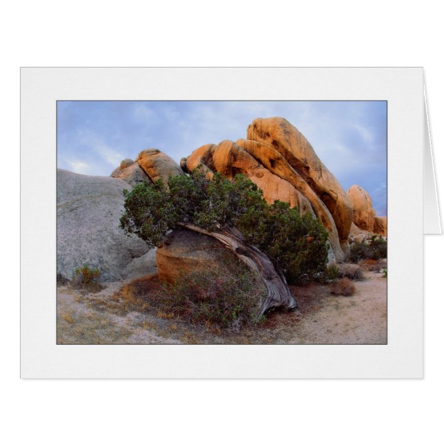 Cartão "Laid Back Juniper" (Frente horizontal)