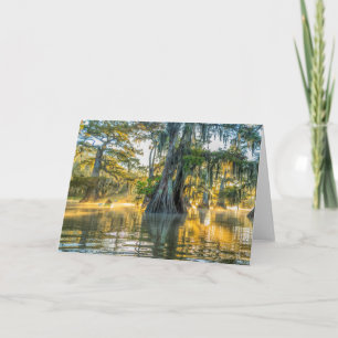 Cartão Lake Fausse Pointe State Park