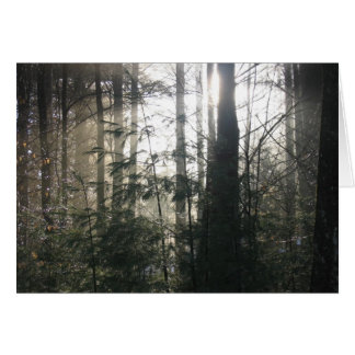 Cartão Lake Hill Winter, NY