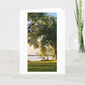 Cartão Lake Sunrise Bench, Yahara Park Place, Wisconsin