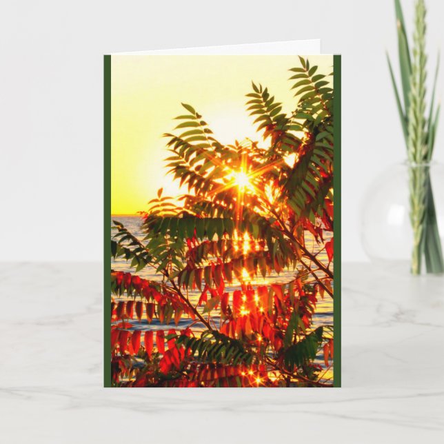 Cartão Lake Winnebago Sunset Thinking Of You (Frente)