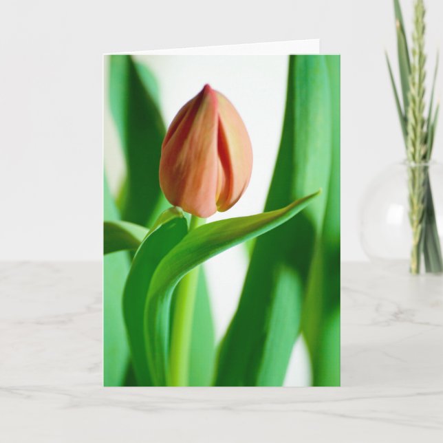 Cartão lala Tulip Card (Frente)