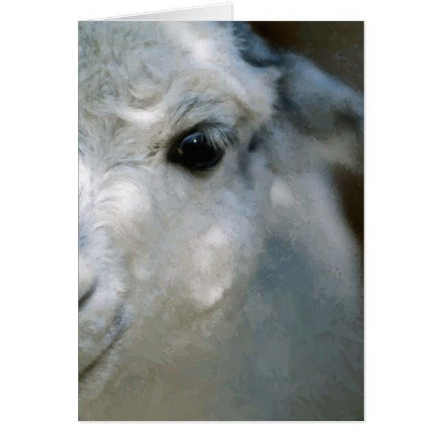 Cartão Lama (Frente)