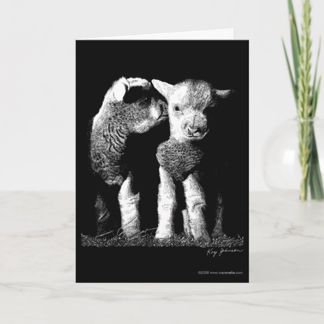 Cartão Lambs (Frente)