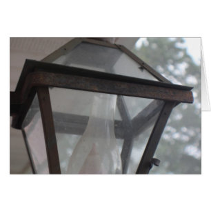 Cartão Lâmpada de Verão