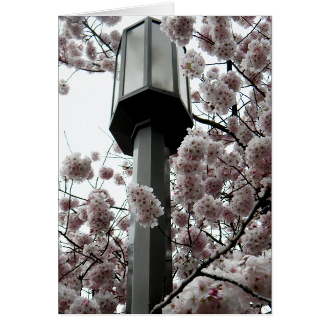 Cartão Lâmpada do ventilador (Frente)