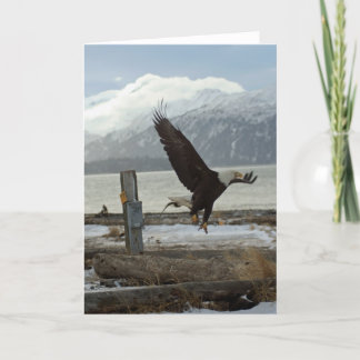 Cartão Landing Eagle