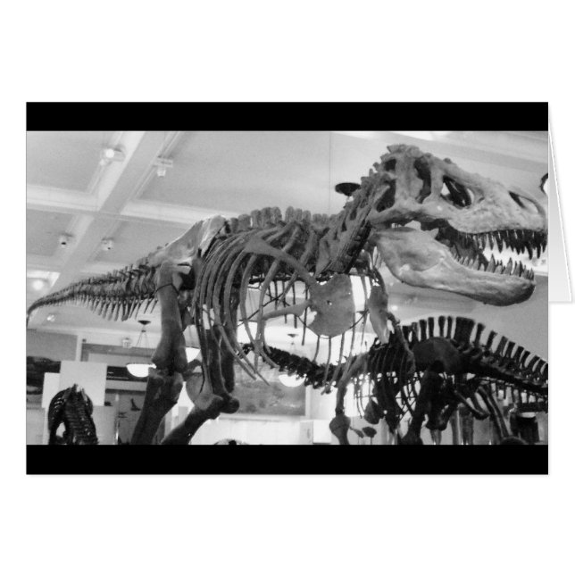 Cartão Lápis de Esqueleto T-Rex (Frente Horizontal)