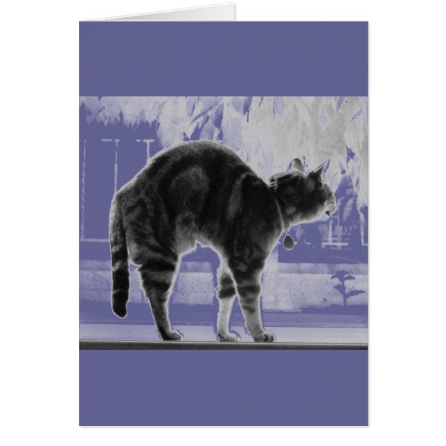 Cartão Lápis índigo estressante (Frente)