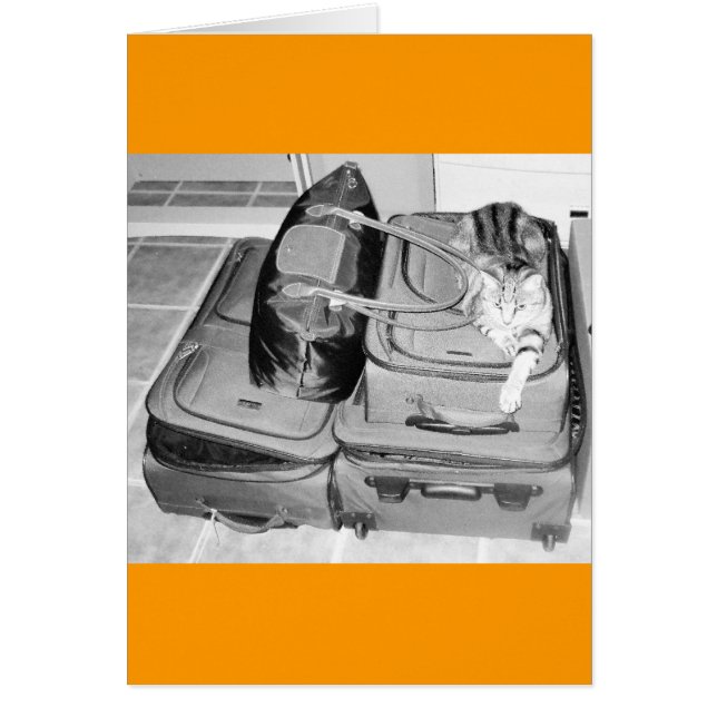 Cartão Lápis Indígo Viajante (Frente)