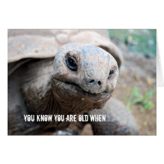 Cartão Lapso da memória da tartaruga gigante