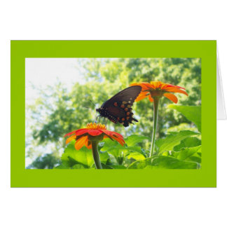 Cartão Laranja é minha cor feliz