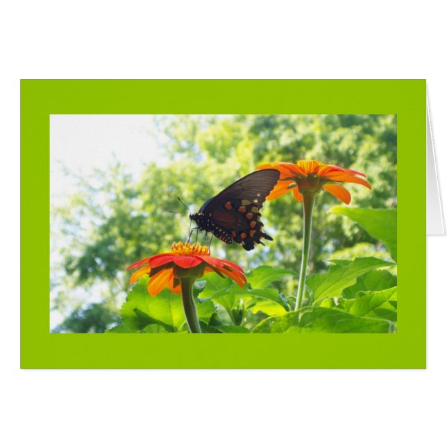 Cartão Laranja é minha cor feliz (Frente horizontal)