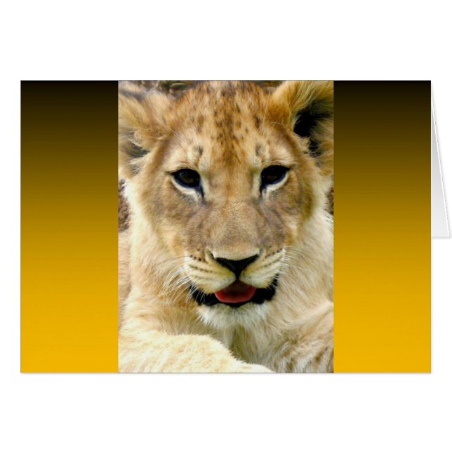 Cartão Laranja Queimado Duas Toneladas (Frente Horizontal)