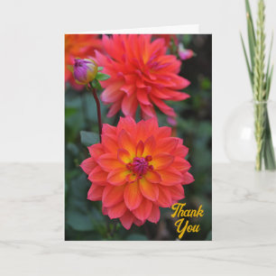 Cartão Laranja, Vermelho, Amarelo Dahlia Flor Obrigado