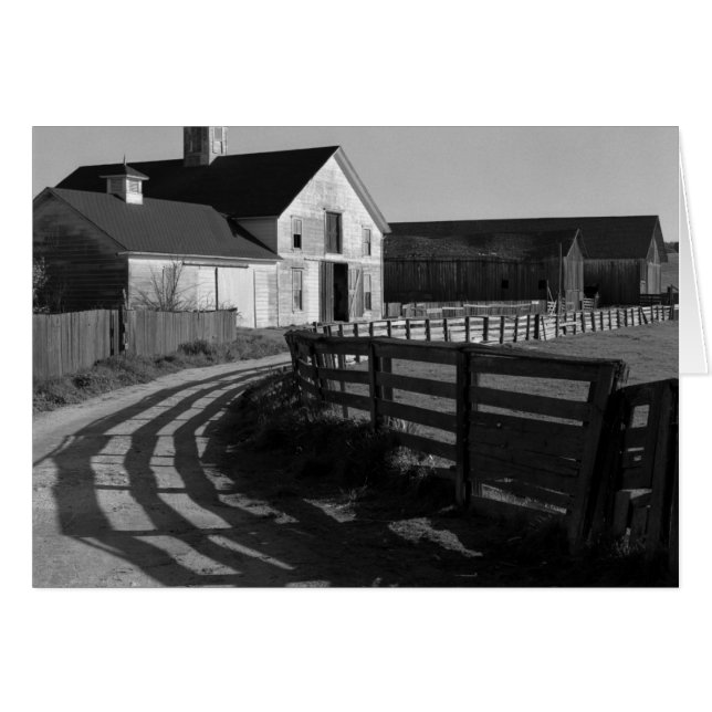 Cartão Large Barn and Road, março de 1966 (Frente Horizontal)