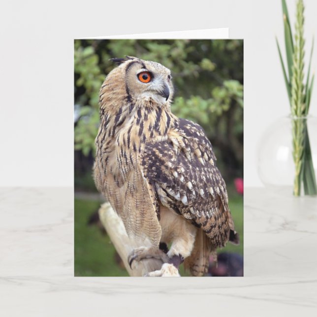 Cartão Large Owl on Fence Greeting Cards (Frente)