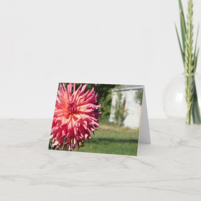 CARTÃO "LARGE PINK DAHLIA" NOTECARD (Frente)