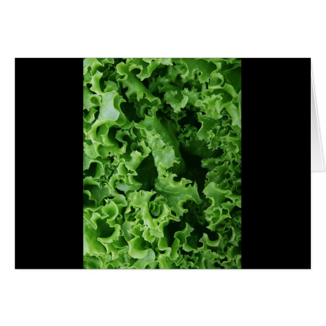 Cartão Largura Verde Fechar Única (Frente Horizontal)