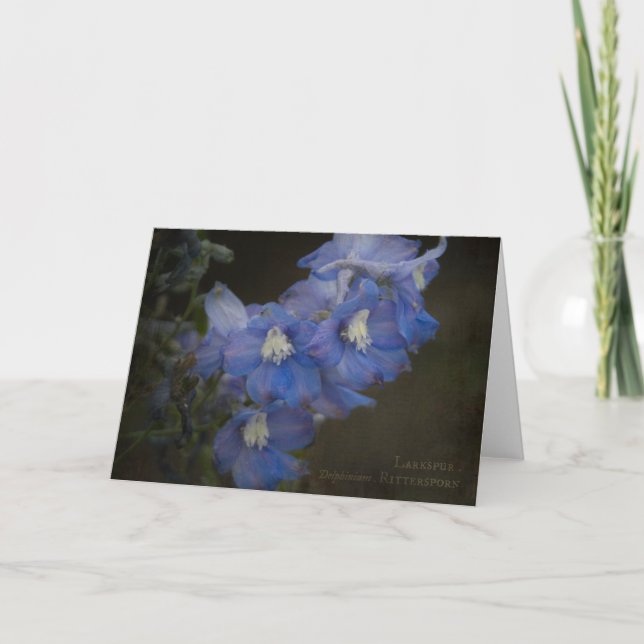 Cartão Larkspur Greeting Card (Frente)
