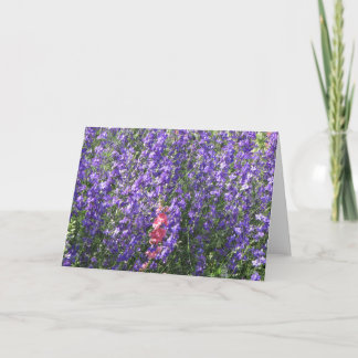 Cartão Larkspurs