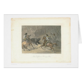Cartão Lassoing um urso (1178A)