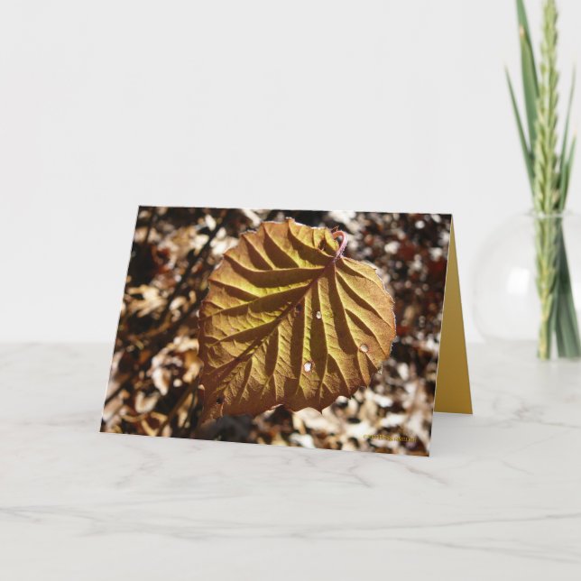 Cartão Last Leaf (Frente)