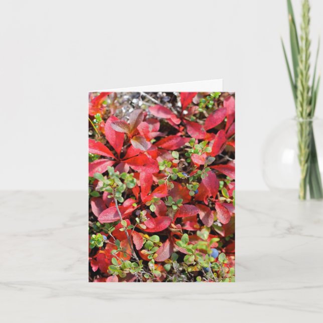 Cartão Late Summer in Alaska - 4" x 5.6" Notecard (Frente)