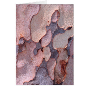 Cartão Latido Eucalyptus