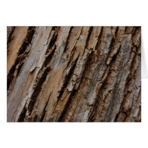 Cartão Latido natural de árvore I, Abstrato natural de te