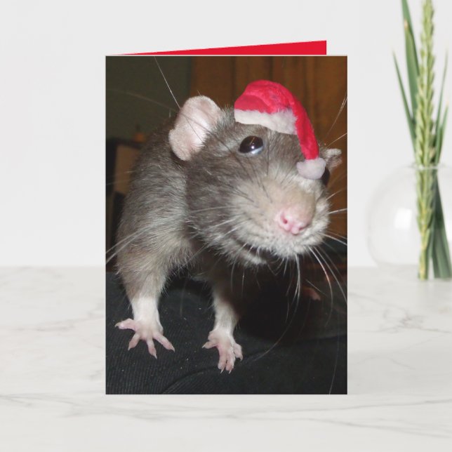 Cartão Laughing Christmas Rat Greeting Card (Frente)