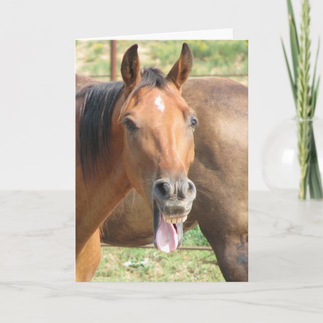 Cartão Laughing Horse (Frente)