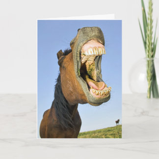 Cartão Laughing Horse Birthday Card
