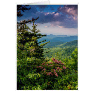 Cartão Laurel das Montanhas no Sunrise