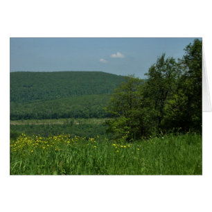 Cartão Laurel Highlands Pennsylvania Summer Photoics