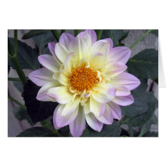 Cartão Lavanda Creme Dahlia