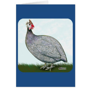 Cartão Lavanda Da Guiné Em Vigor