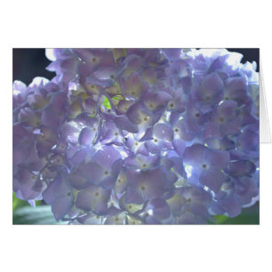 Cartão Lavanda Hydrangeas