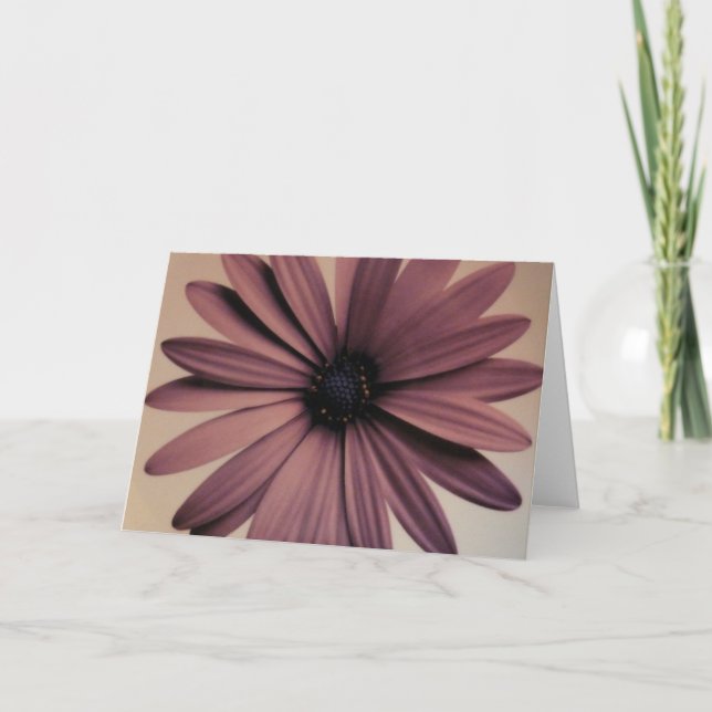 Cartão Lavendar Daisy (Frente)