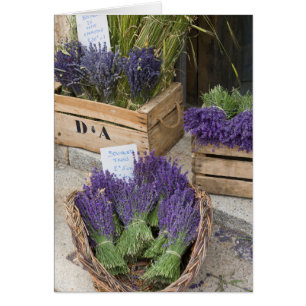 Cartão Lavendar para venda, Provence, França