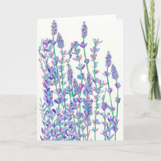 Cartão Lavender Field Card