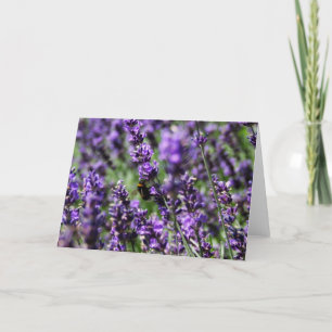 Cartão Lavender Fields Greeting Card