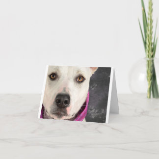 Cartão LDDR Note Card