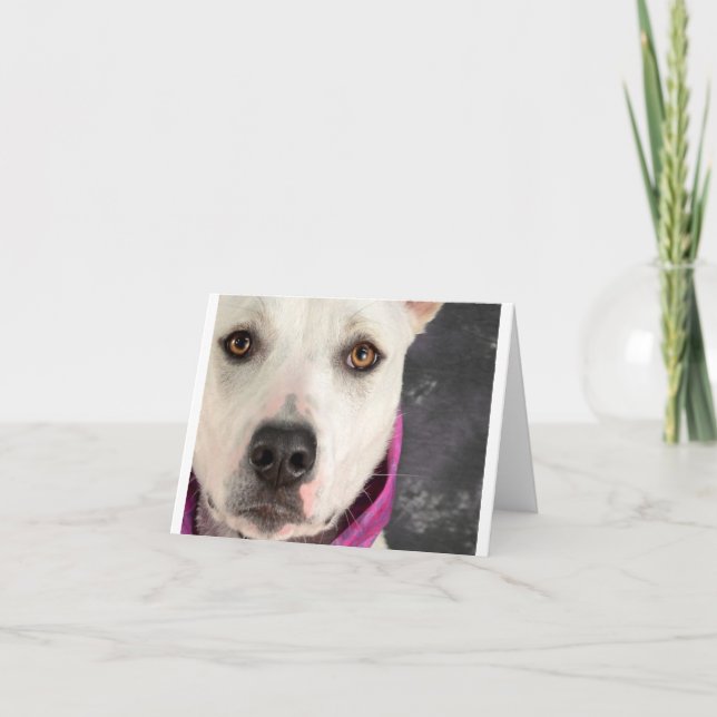 Cartão LDDR Note Card (Frente)