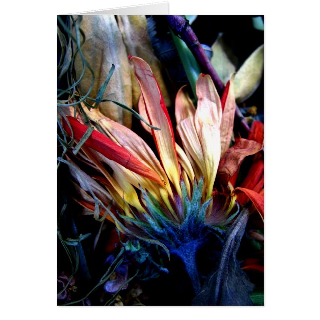 Cartão le pass of fleurs (Frente)