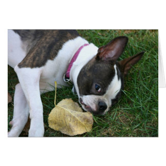 Cartão Leaf de Martha