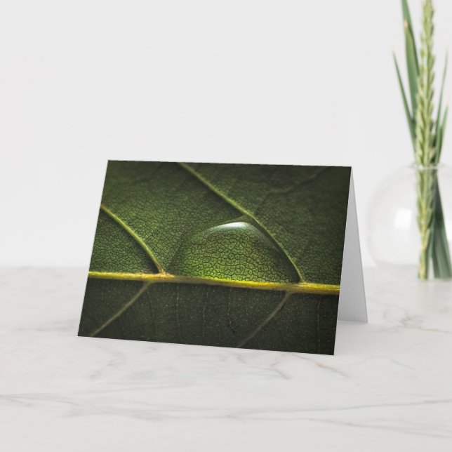 Cartão Leaf Droplets (Frente)