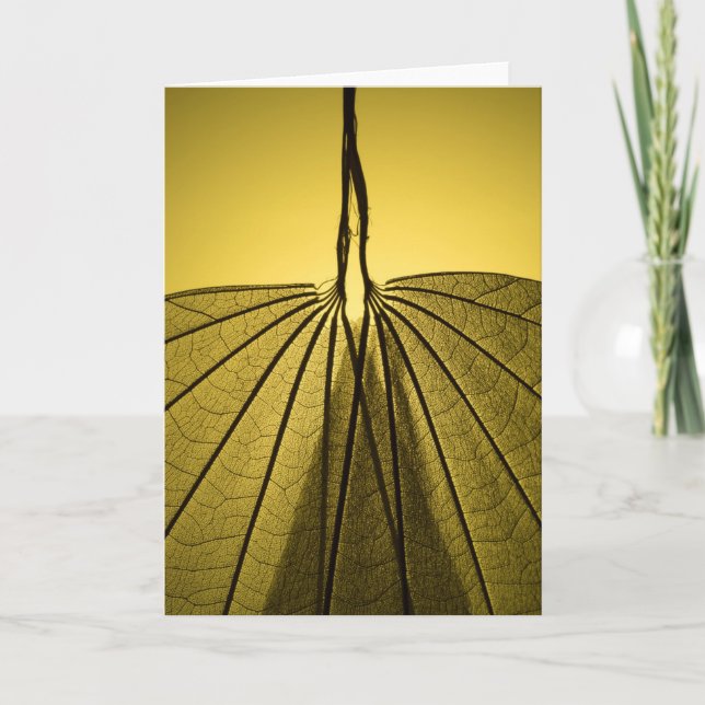 Cartão Leaf Skeleton (Frente)