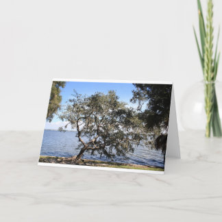 Cartão "Leaning live oak" note cards